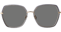 BL6061 Sunglasses Gray Gold Gray