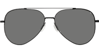 BL8010 Sunglasses Black Gray