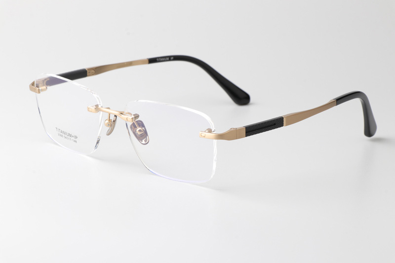 BS2066 Eyeglasses Gold