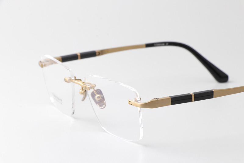 BS2067 Eyeglasses Gold