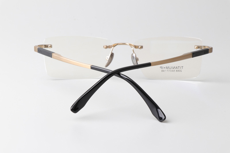 BS2068 Eyeglasses Gold