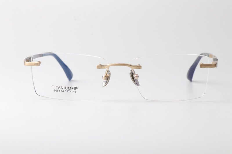 BS2068 Eyeglasses Gold