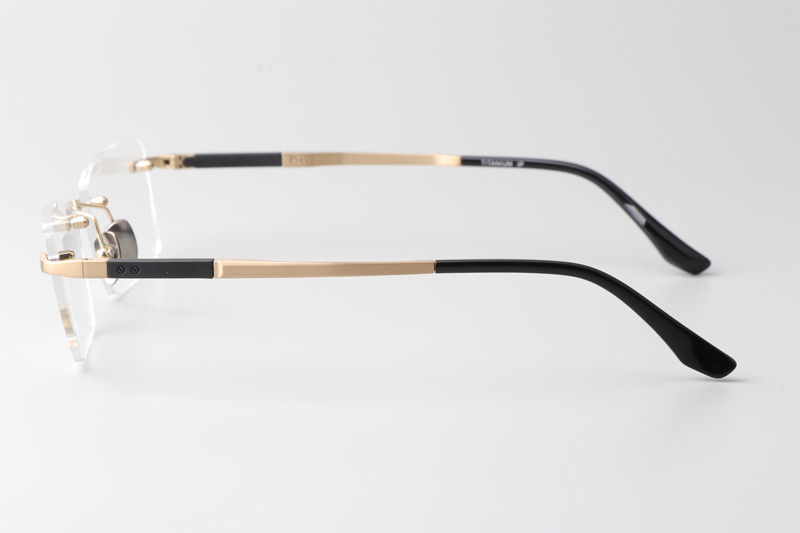 BS2068 Eyeglasses Gold