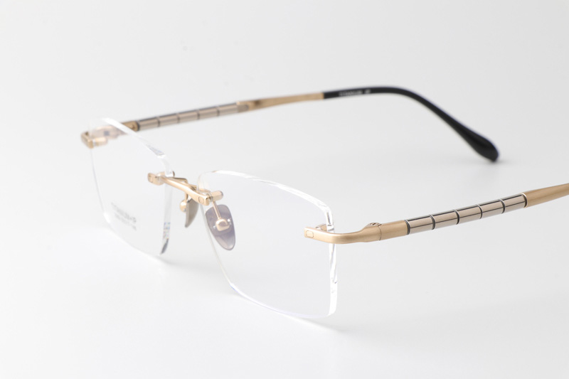 BS2069 Eyeglasses Gold