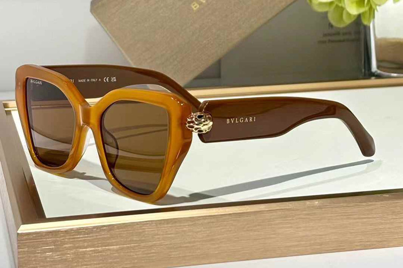 BV40033I Sunglasses Brown Brown