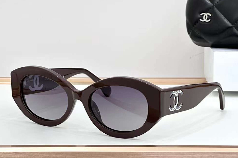 CH5528 Sunglasses Coffee Gradient Gray