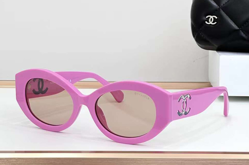 CH5528 Sunglasses Pink Brown