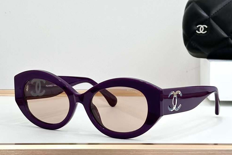 CH5528 Sunglasses Purple Brown