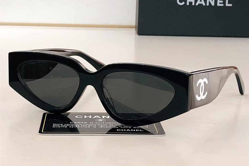 CH6060 Sunglasses Black Gray