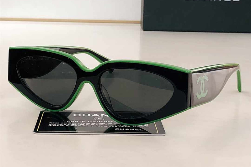 CH6060 Sunglasses Black Green Gray