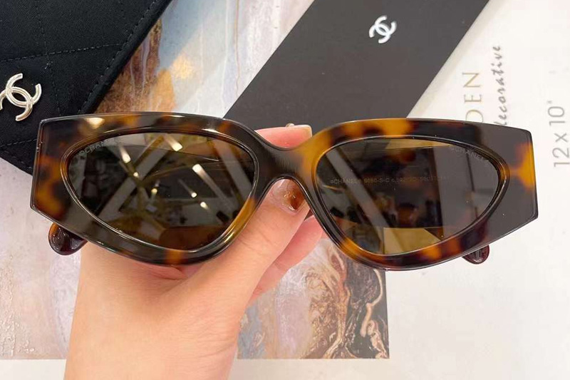 CH6060 Sunglasses Tortoise Brown