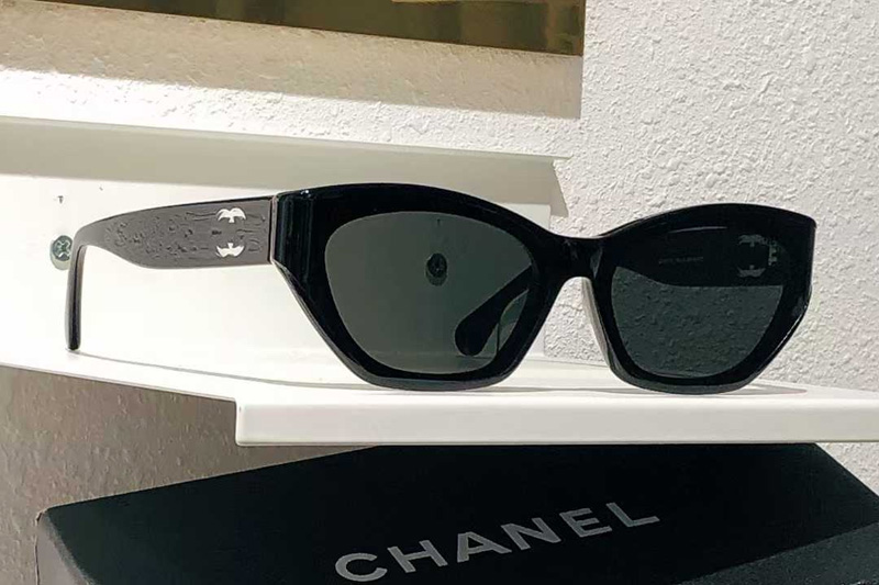 CH6077S Sunglasses Black Gray