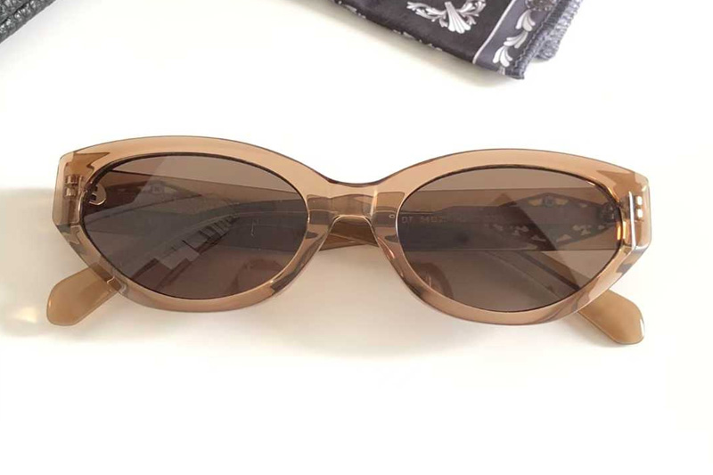 CH8295 Sunglasses Brown Brown