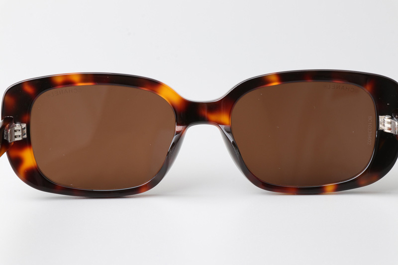 CH9011 Sunglasses Tortoise Brown