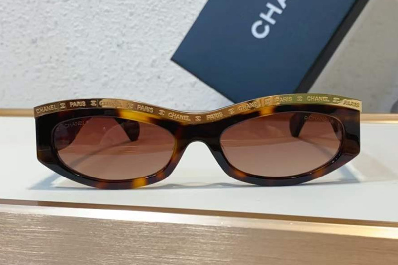 CH9112 Sunglasses In Tortoise Gold