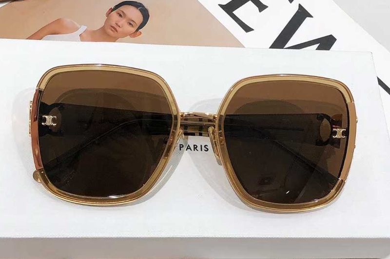 CL40250 Sunglasses Brown Brown