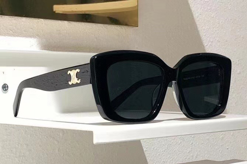 CL4S216U Sunglasses In Black
