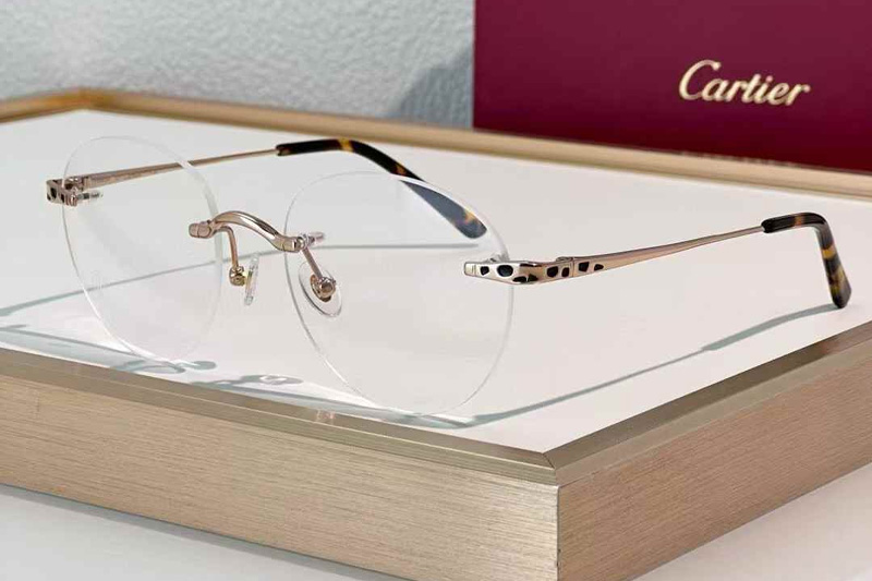 CT0309S Eyeglasses Rose Gold