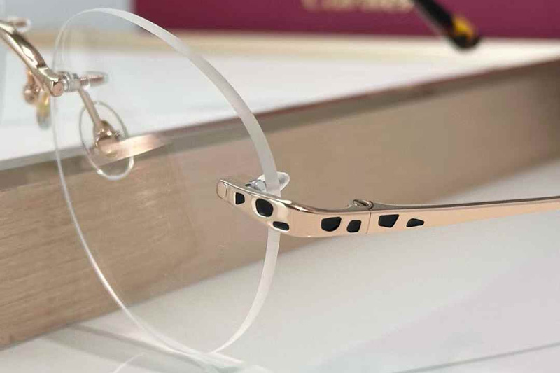 CT0309S Eyeglasses Rose Gold