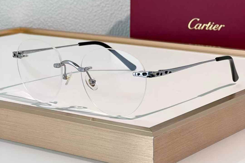 CT0309S Eyeglasses Silver