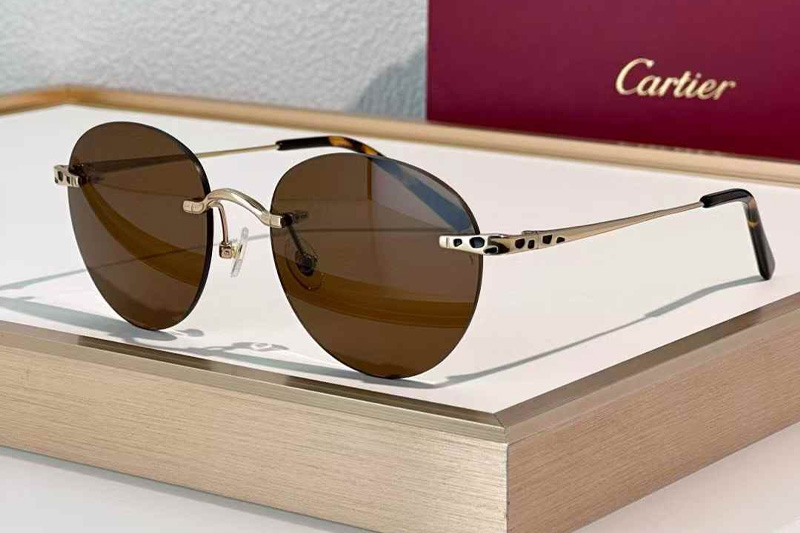 CT0309S Sunglasses Gold Brown