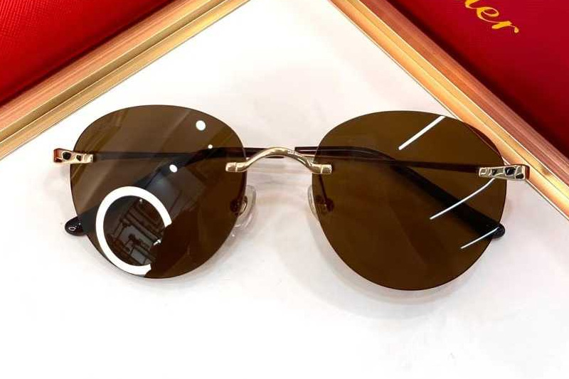 CT0309S Sunglasses Gold Brown