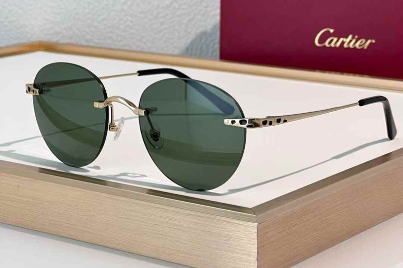 CT0309S Sunglasses Gold Green