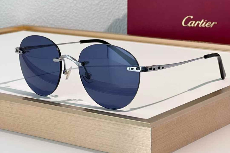 CT0309S Sunglasses Silver Blue