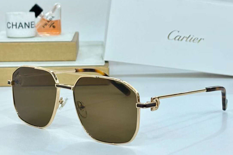 CT0333S Sunglasses Gold Brown