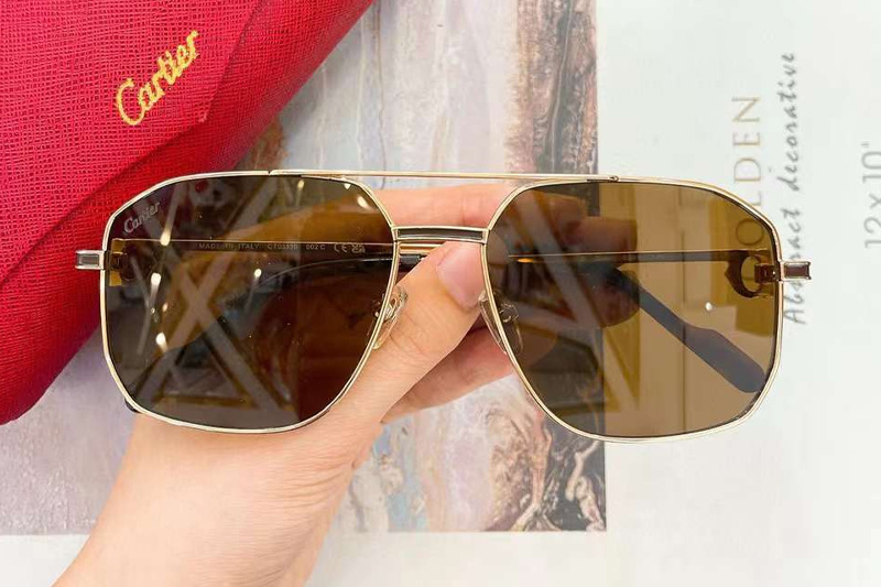 CT0333S Sunglasses Gold Brown