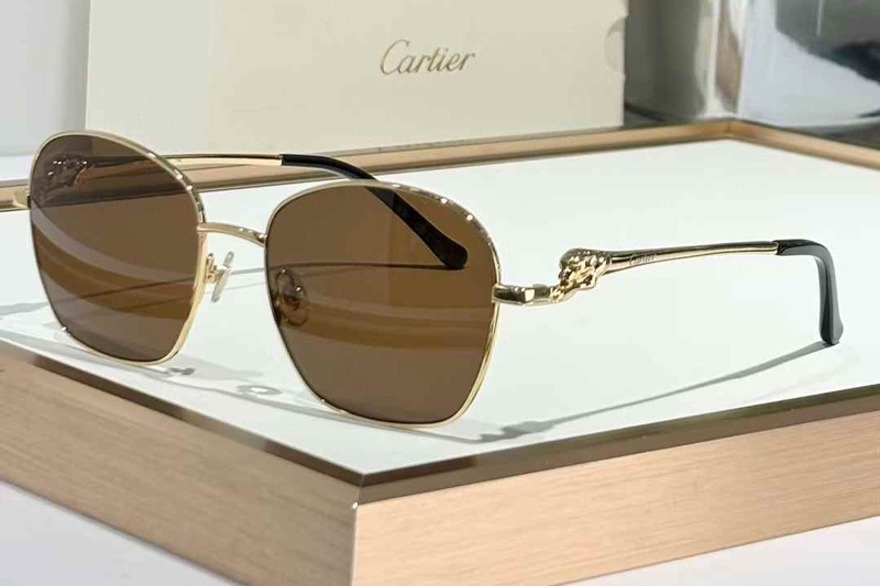 CT0371O Sunglasses Gold Brown