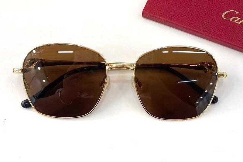 CT0371O Sunglasses Gold Brown