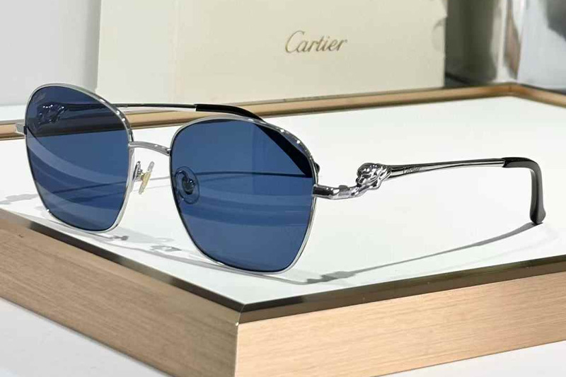 CT0371O Sunglasses Silver Blue