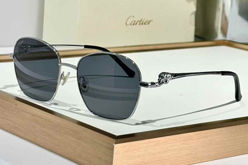 CT0371O Sunglasses Silver Gray