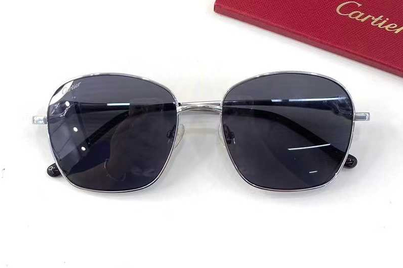 CT0371O Sunglasses Silver Gray