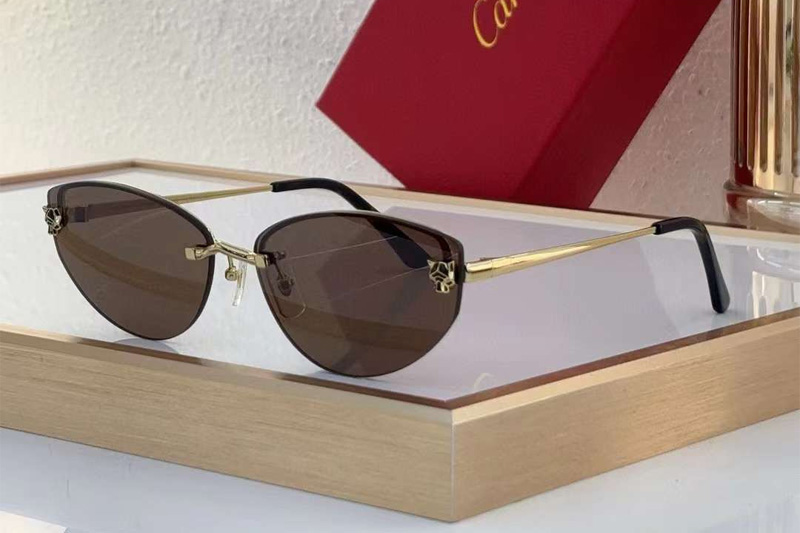 CT0431S Sunglasses Gold Brown