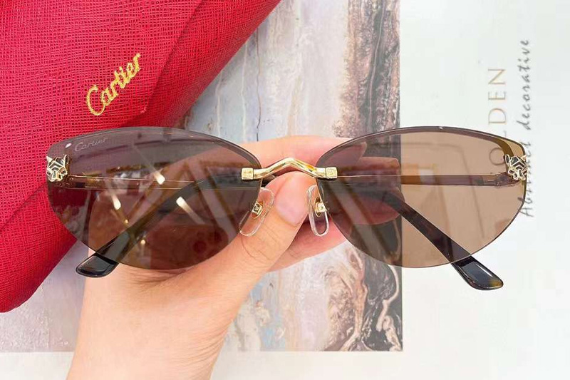 CT0431S Sunglasses Gold Brown