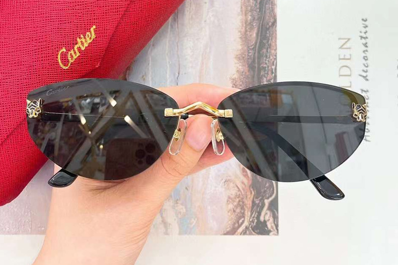 CT0431S Sunglasses Gold Gray