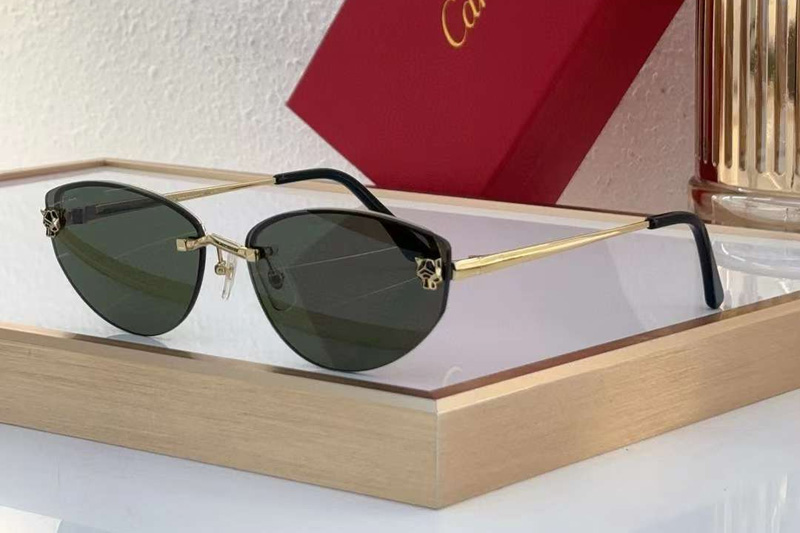 CT0431S Sunglasses Gold Green