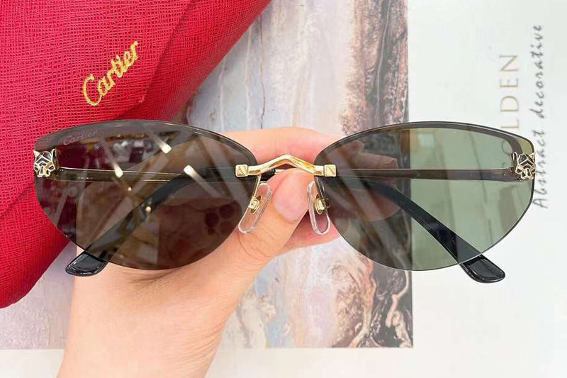 CT0431S Sunglasses Gold Green