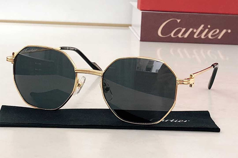 CT0500S Sunglasses Gold Gray