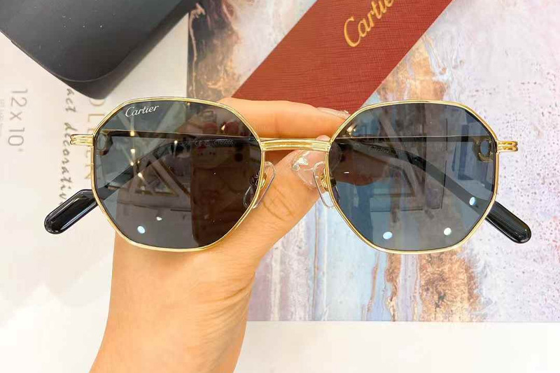 CT0500S Sunglasses Gold Gray