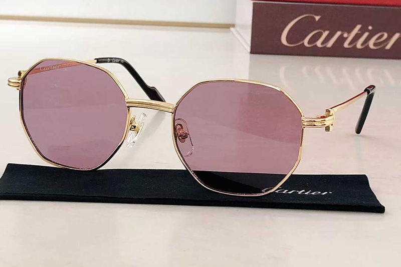 CT0500S Sunglasses Gold Purple