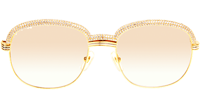 CT 1116679 Diamond Black Buffalo Sunglasses In Gold Brown