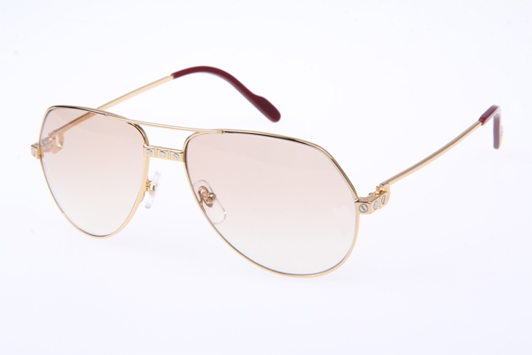 CT 1324912 Sunglasses In Gold Brown