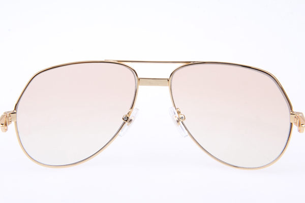 CT 1324912 Sunglasses In Gold Brown
