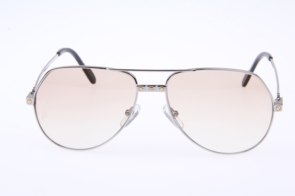 CT 1324912 Sunglasses In Silver Brown