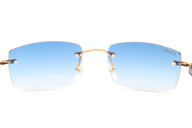 CT 3524012 Black Buffalo Sunglasses In Gold Gradient Blue