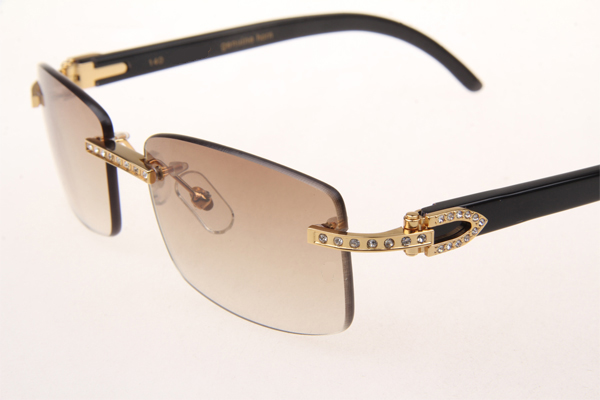 CT 3524012 Diamond Black Buffalo Sunglasses In Gold Brown