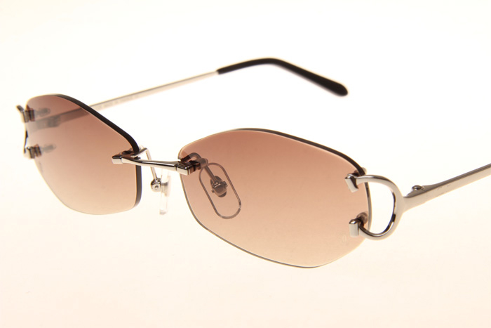 CT 4193831 Sunglasses In Silver Gradient Brown